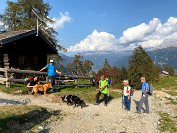 Dog Trekking - Experience Lake Garda with your pet friend